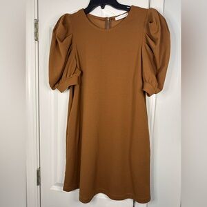 Chic Long Sleeve Dress with Puff Sleeves